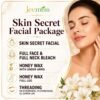 skin secret facial